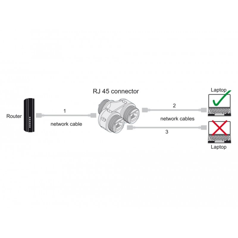 DeLOCK Connecteur de câble RJ45 femelle vers 2 x RJ45 femelles Cat.6A étanches