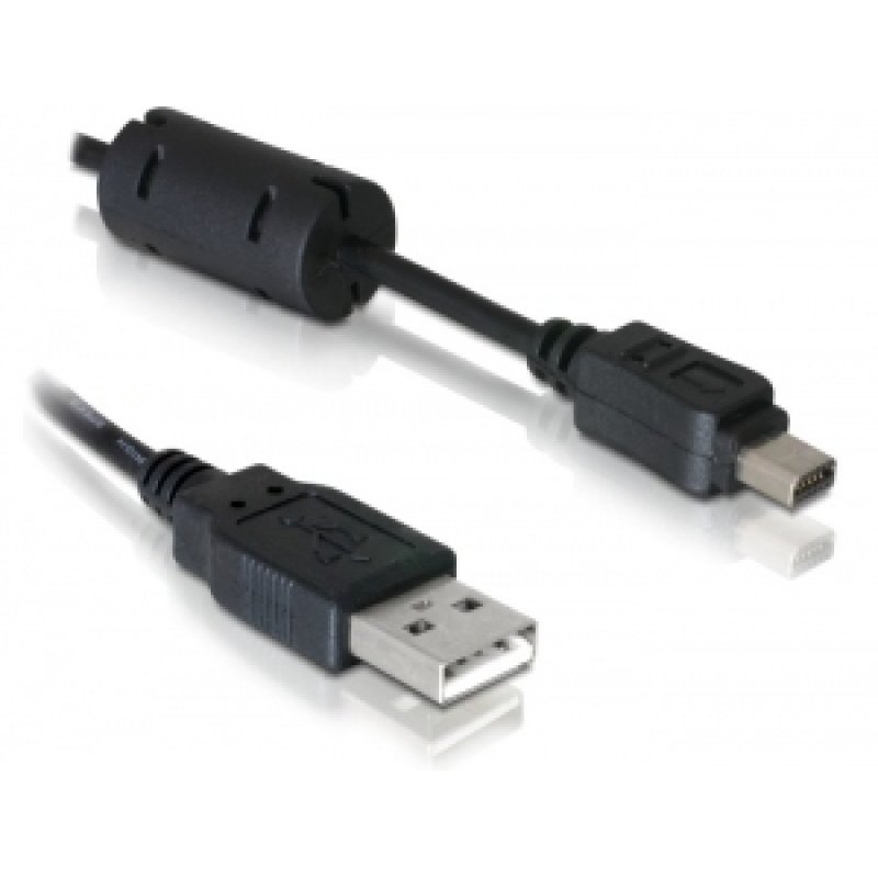 Delock Kabel Kamera USB-A Stecker zu Olympus 12-Pin Stecker 1 m
