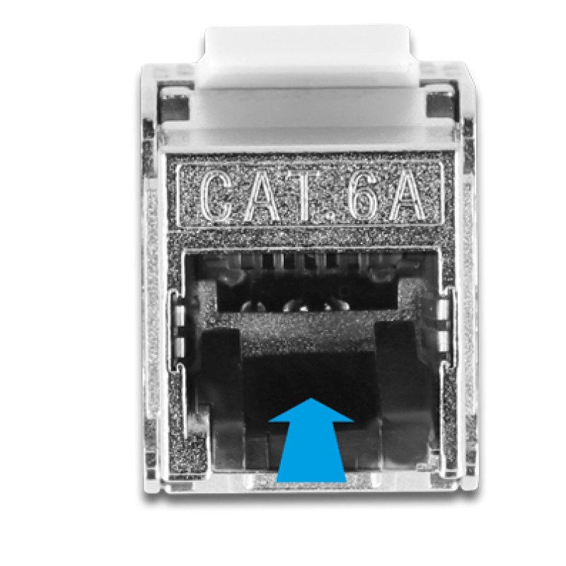 DeLOCK Câble RJ45 mâle à Module Keystone RJ45 femelle, Cat.6A, 1 m, noir
