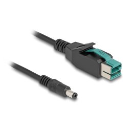 DeLOCK Câble PoweredUSB mâle 12 V à DC 5,5 x 2,5 mm mâle 3 m