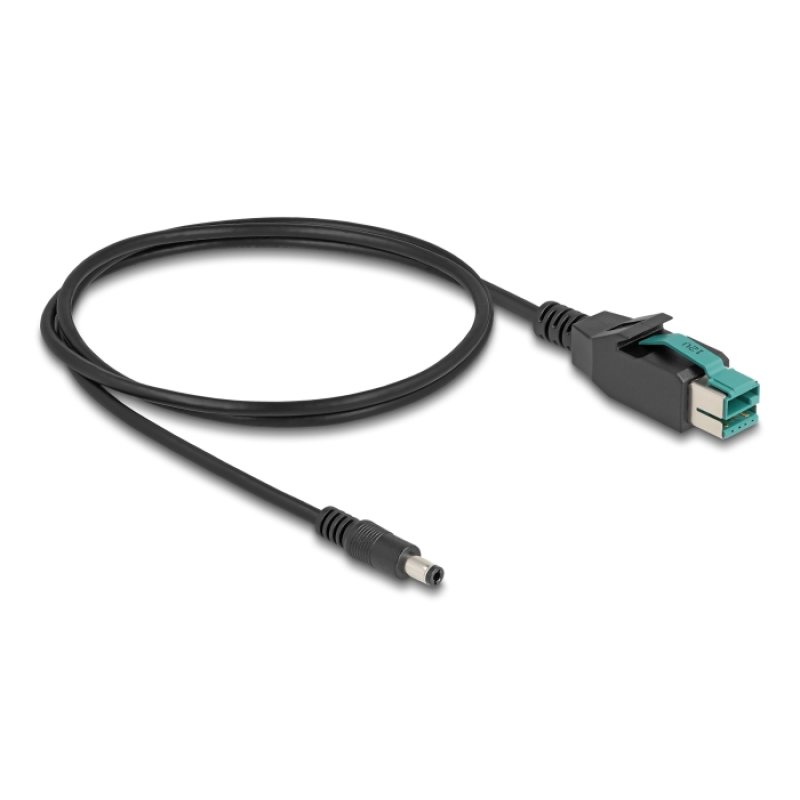 DeLOCK Câble PoweredUSB mâle 12 V à DC 5,5 x 2,5 mm mâle 3 m