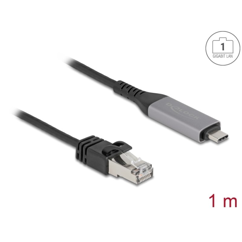 DeLOCK USB LAN Cable USB Type-C to RJ45 Gigabit Ethernet 1 m