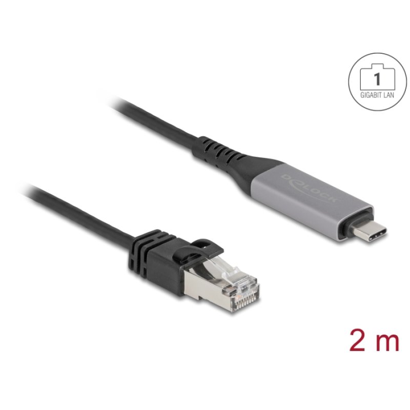 DeLOCK USB LAN Cable USB Type-C to RJ45 Gigabit Ethernet 2 m