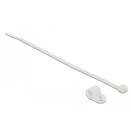 DeLOCK 18867 cable tie Screw mount cable tie Nylon White 10 pc(s)