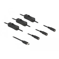DeLOCK Cable USB Type-C male to 3 x DC 5.5 x 2.1 mm female with switch 1 m