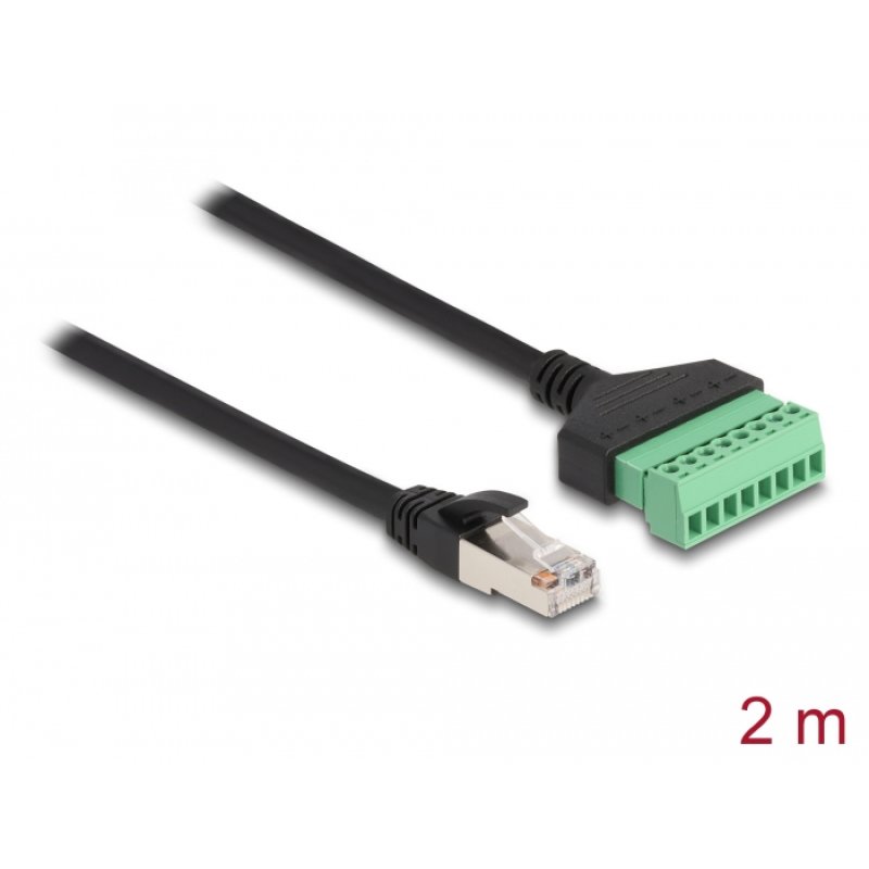 DeLOCK Adaptateur RJ45 de câble Cat.6 mâle à bloc terminal, 2 m, 2 parties