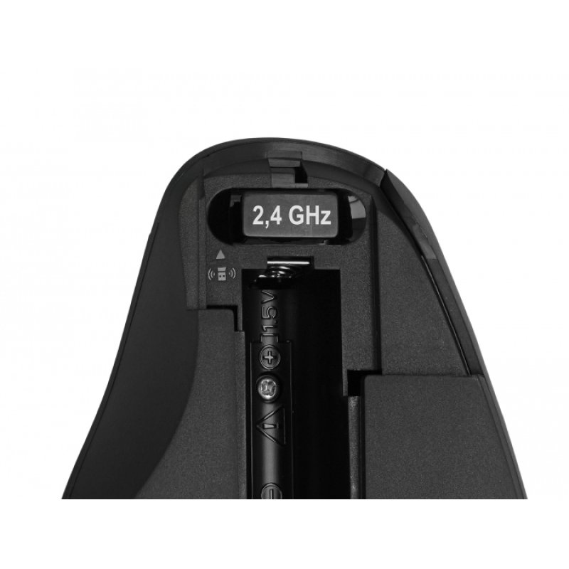 Delock Ergonomische USB Maus - kabellos