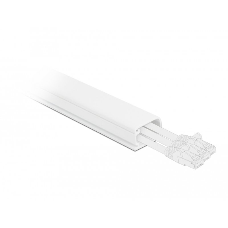 DeLOCK Conduite de câble avec capot 83 x 54 mm - longueur 1 m, blanc