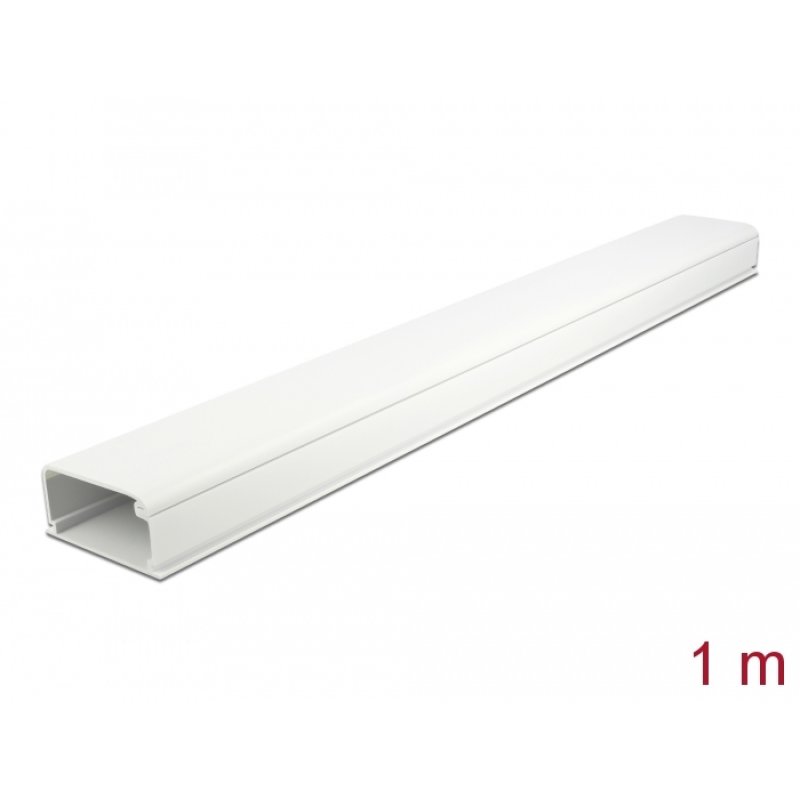 DeLOCK Conduite de câble avec capot 57 x 28 mm - longueur 1 m, blanc