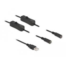DeLOCK Cable USB Type-A male to 2 x DC 5.5 x 2.1 mm female with switch 1 m