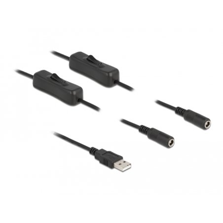DeLOCK Cable USB Type-A male to 2 x DC 5.5 x 2.1 mm female with switch 1 m