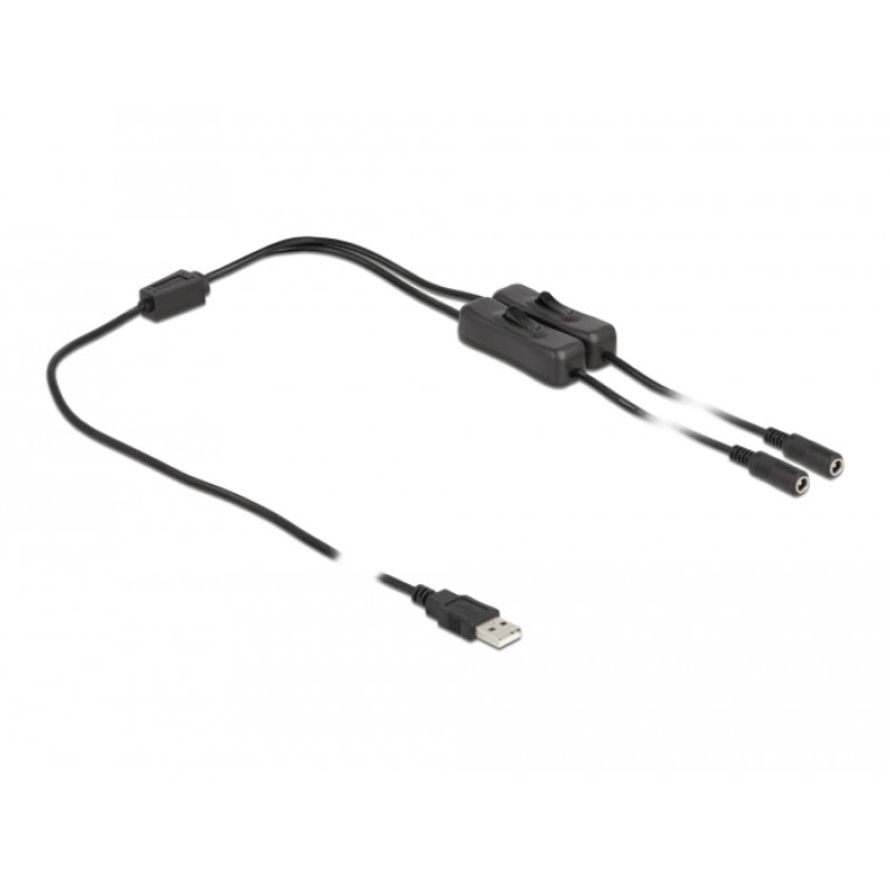 DeLOCK Cable USB Type-A male to 2 x DC 5.5 x 2.1 mm female with switch 1 m