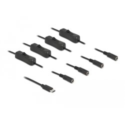 DeLOCK Cable USB Type-C male to 4 x DC 5.5 x 2.1 mm female with switch 1 m