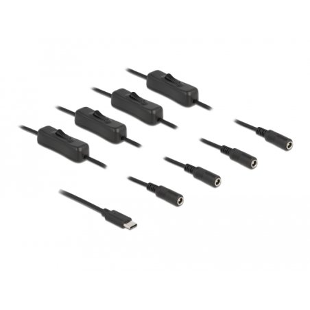 DeLOCK Cable USB Type-C male to 4 x DC 5.5 x 2.1 mm female with switch 1 m