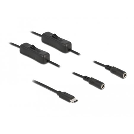 DeLOCK Câble USB Type-C mâle à 2 DC 5,5 x 2,1 mm femelle avec interrupteur, 1 m