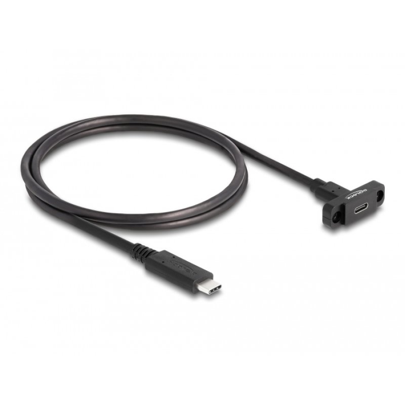 DeLOCK SuperSpeed USB 10 Gbps (USB 3.2 Gen 2) Cable USB Type-C male to female 1 m panel-mount black