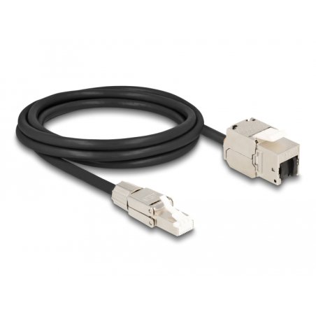 Delock Kabel RJ45 Stecker feldkonfektionierbar zu Keystone Modul RJ45 Buchse Cat.6A 2 m