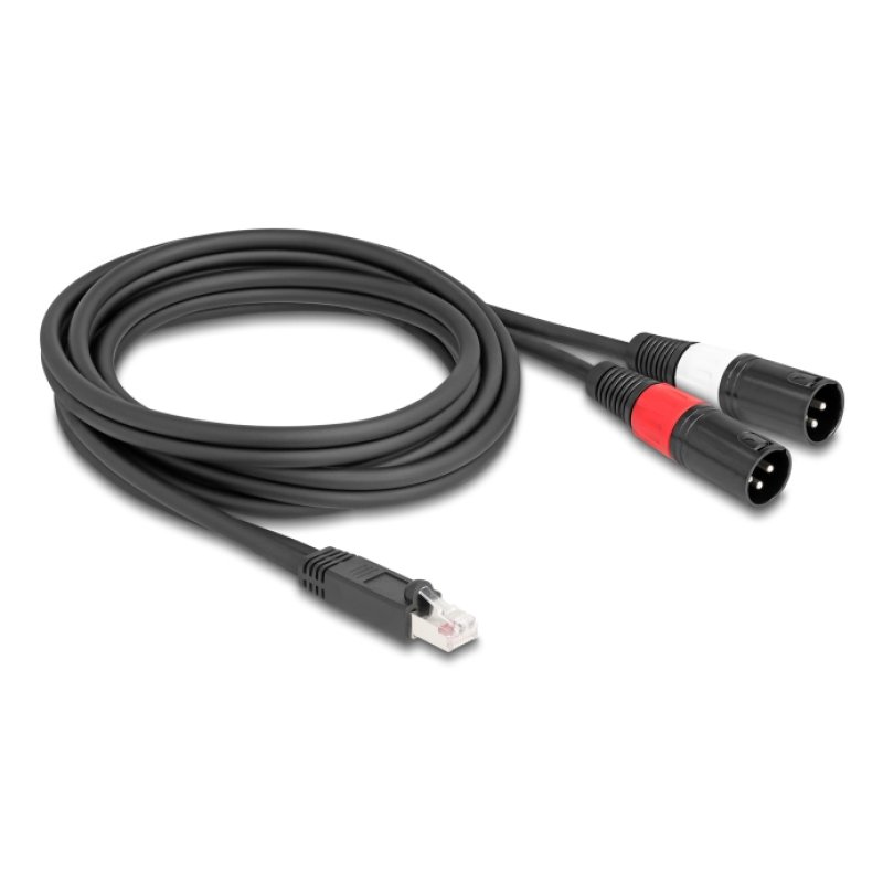 DeLOCK 88173 câble audio 2 m RJ-45 2 x XLR (3-pin) Noir