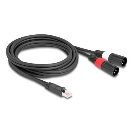 DeLOCK 88173 câble audio 2 m RJ-45 2 x XLR (3-pin) Noir