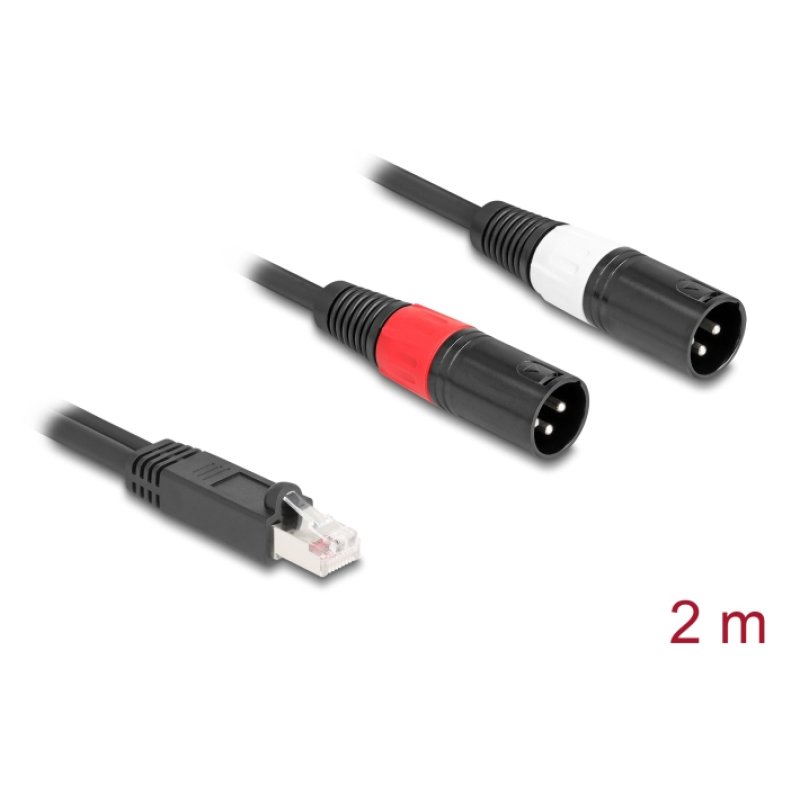 DeLOCK 88173 câble audio 2 m RJ-45 2 x XLR (3-pin) Noir