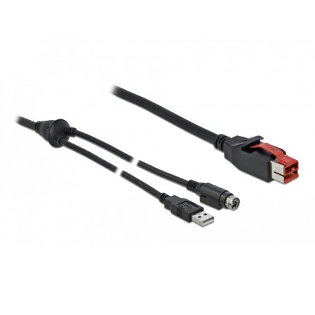 DeLOCK PoweredUSB cable male 24 V to USB Type-A male Mini-DIN 3 pin male 2 m for POS printers and terminals