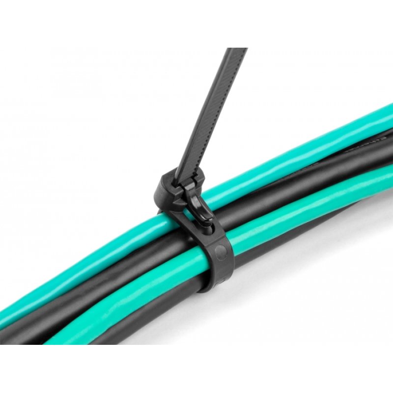 DeLOCK Réutilisables et résistants à la chaleur, L 300 x l 7,6 mm, 100 serre-câbles noirs