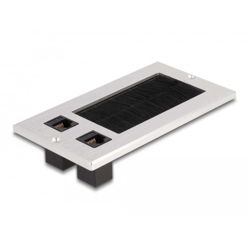 DeLOCK Cable entry with brush and 2 x RJ45 Keystone module Cat.6 aluminium