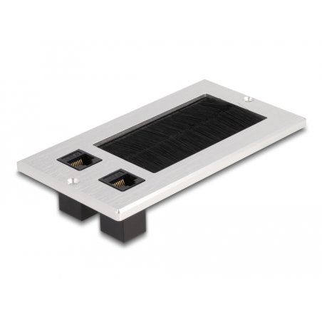 DeLOCK Cable entry with brush and 2 x RJ45 Keystone module Cat.6 aluminium