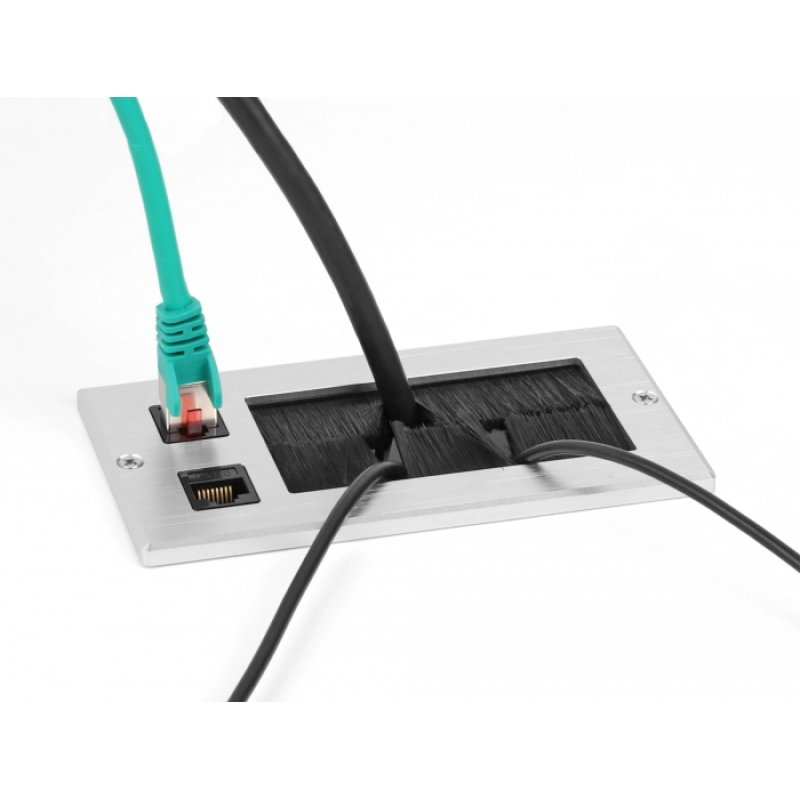 DeLOCK Cable entry with brush and 2 x RJ45 Keystone module Cat.6 aluminium
