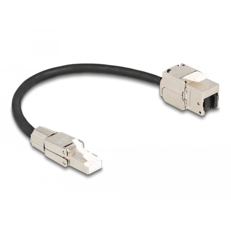 DeLOCK Câble RJ45 mâle pour assemblage sur site vers module RJ45 Keystone, femelle, Cat. 6A, 25 cm