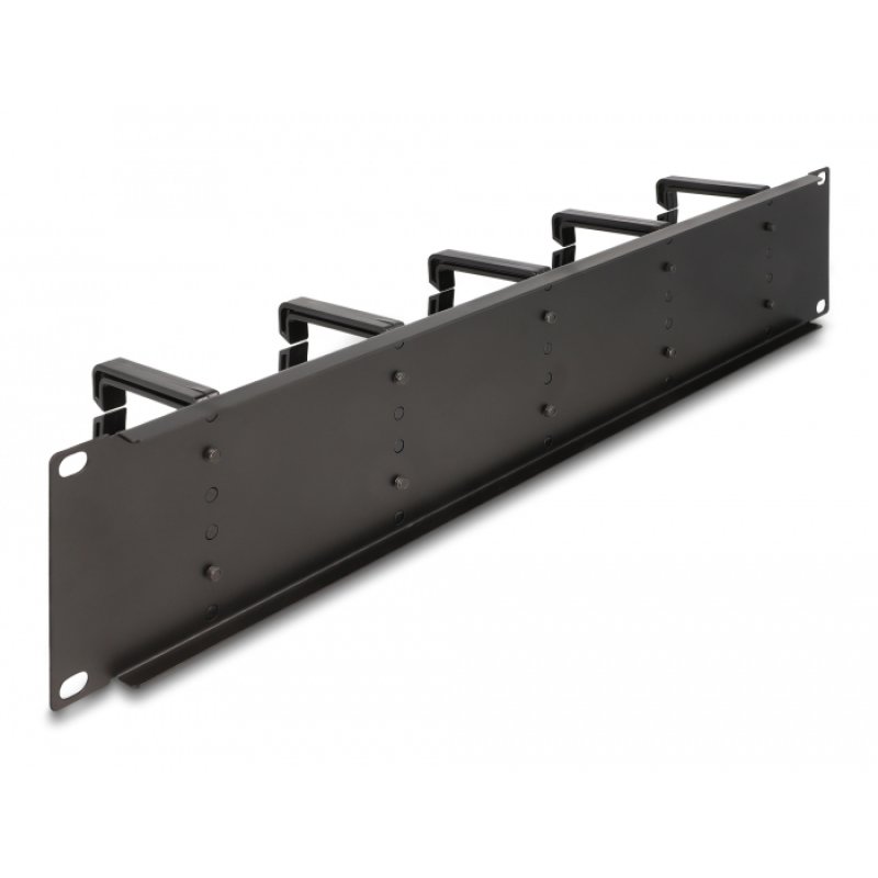 DeLOCK Panneau de chemin de câble 19″ avec 10 crochets en plastique, 2U, noir