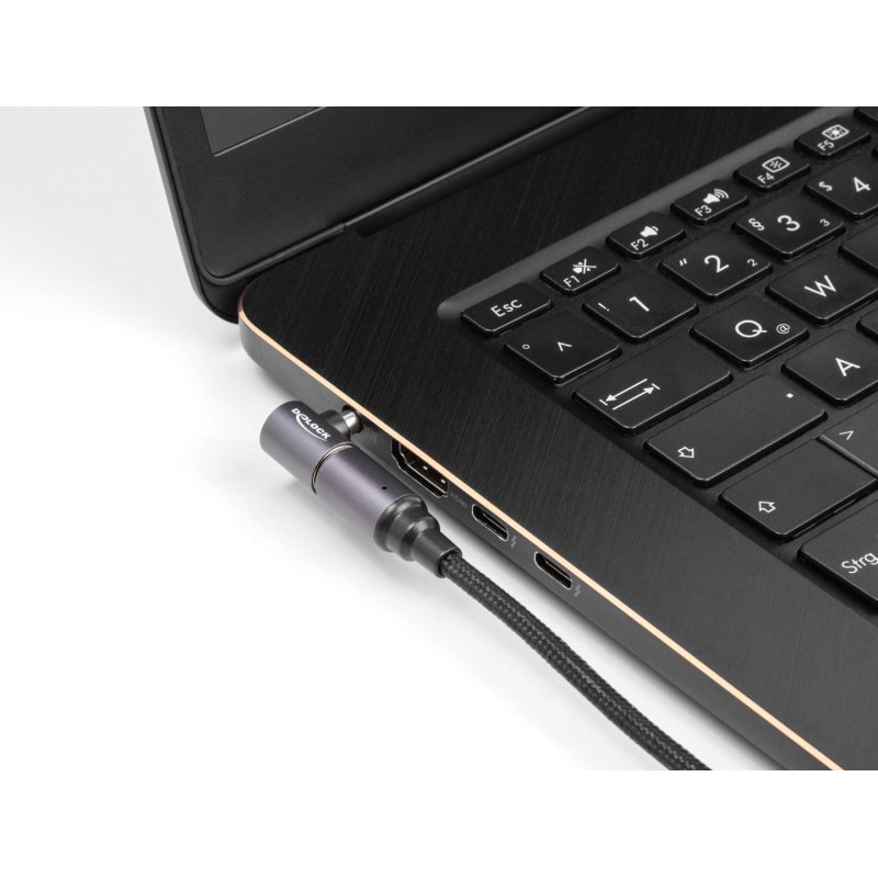 DeLOCK Câble de chargement de laptop USB Type-C femelle à connecteur magnétique 8 broches, 15 cm
