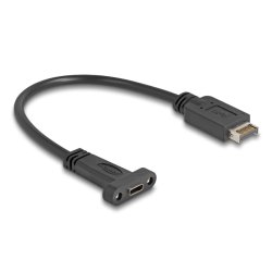 DeLOCK USB 10 Gbps Cable USB Type-E Key A 20 pin male to USB Type-C female panel-mount 25 cm