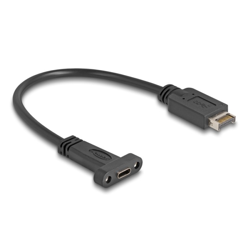 DeLOCK Câble USB 10 Gbps Type-E Key A 20 broches mâles vers USB Type-C femelle, monté sur panneau, 25 cm