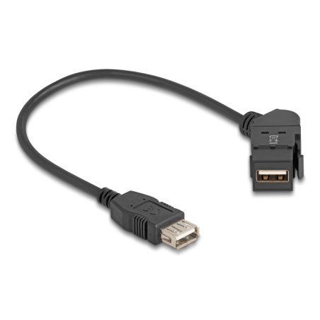 DeLOCK 67152 changeur de genre de câble USB-A Noir