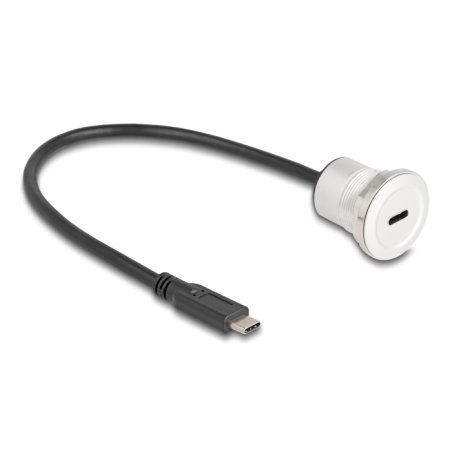 DeLOCK 88183 câble USB 0,3 m USB C Noir, Argent