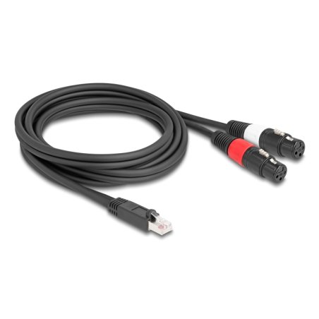 DeLOCK 88176 câble audio 2 m RJ-45 2 x XLR (3-pin) Noir
