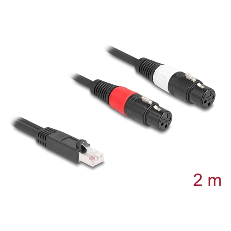 Delock Adapterkabel RJ45 Stecker zu 2 x XLR 3 Pin Buchse schwarz 2 m