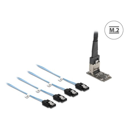 DeLOCK 64260 carte et adaptateur d'interfaces Interne Mini-SAS