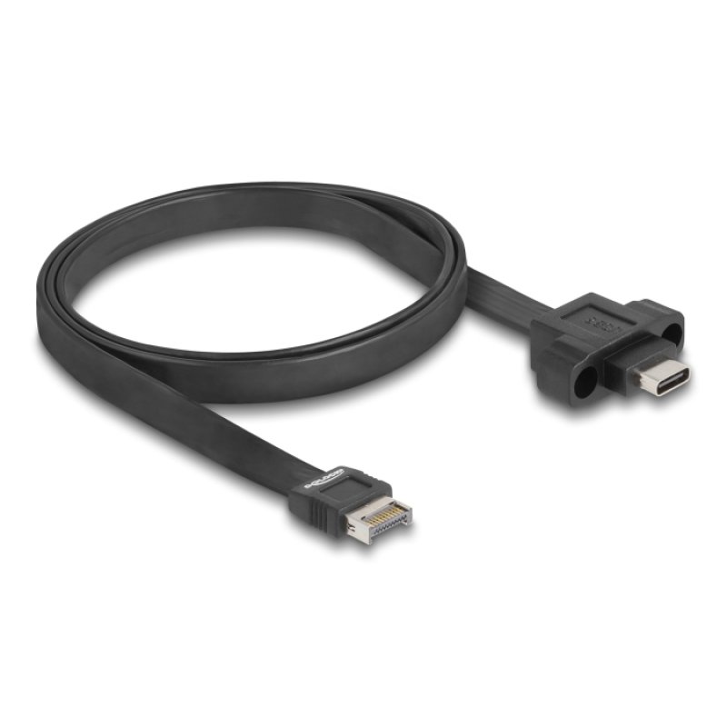 DeLOCK USB 10 Gbps câble ruban à Type-E Key A 20 broches mâles à USB Type-C femelle monté 75 cm