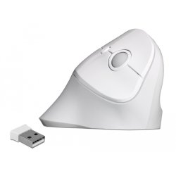 DeLOCK 12596 mouse Office Right-hand RF Wireless 1600 DPI