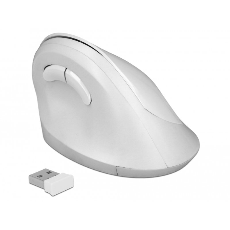 DeLOCK 12596 souris Bureau Droitier RF sans fil 1600 DPI