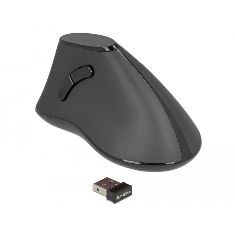 DeLOCK 12622 souris Bureau Droitier RF sans fil Optique 1000 DPI
