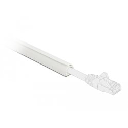 DeLOCK Conduite de câble semi-fermée 10 x 10 mm - longueur 1 m, blanc