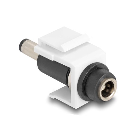 DeLOCK Module Keystone DC 5,5 x 2,5 mm femelle à DC 5,5 x 2,5 mm mâle, blanc