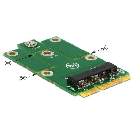 Delock Adapter miniPCIe M.2 NGFF