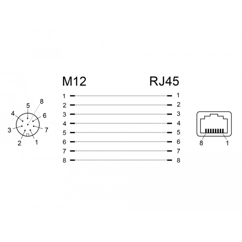 Delock Netzwerkadapter M12 A-kodiert 8 Pin Buchse zu RJ45 Buchse