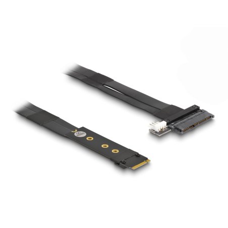 DeLOCK Adaptateur M.2 clé M vers U.2 SFF-8639 NVMe, avec câble de 20 cm