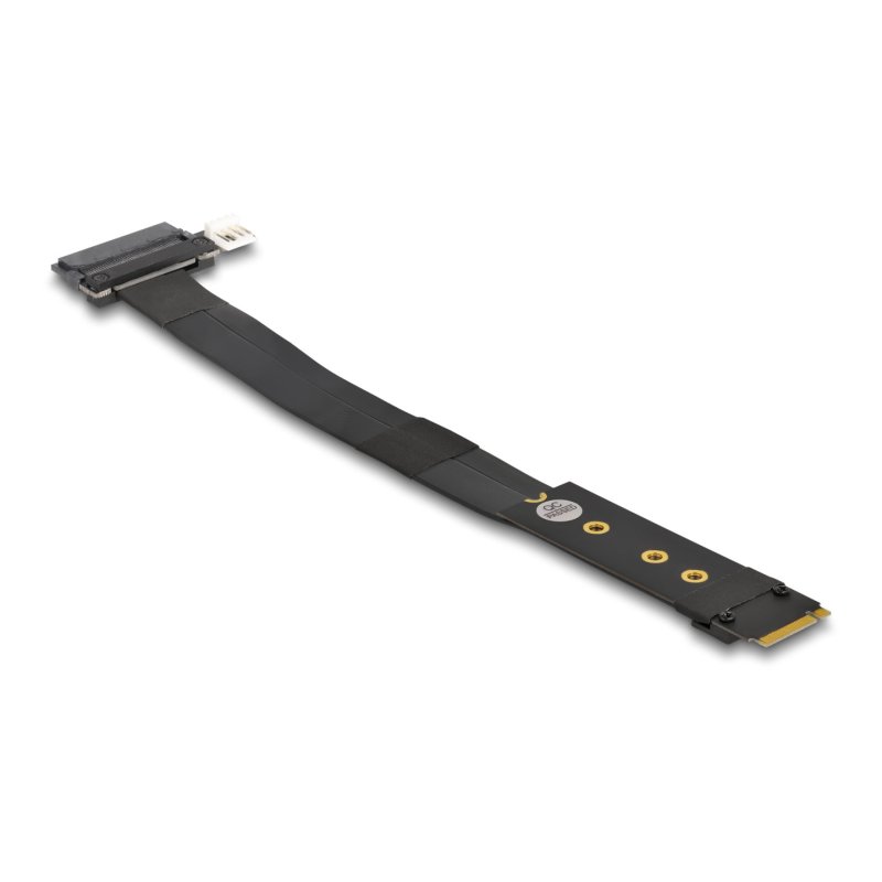 DeLOCK M.2 Key M to U.2 SFF-8639 NVMe Adapter with 20 cm cable