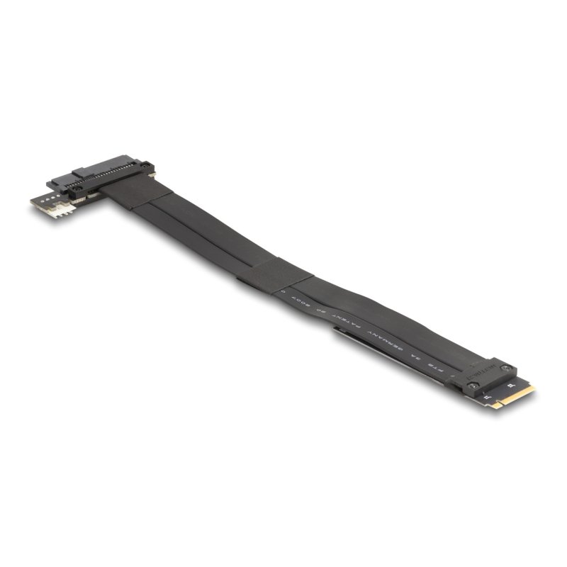 Delock M.2 Key M zu U.2 SFF-8639 NVMe Adapter mit 20 cm Kabel